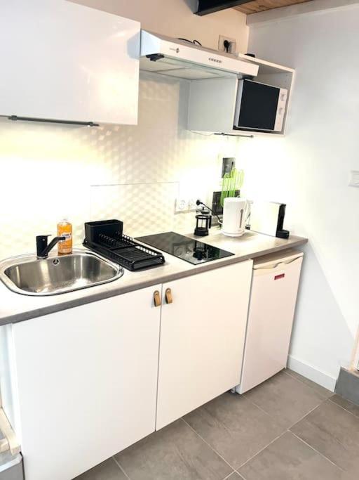 Jolie Mini Maison Lovely Tiny House Vitry-sur-Seine Esterno foto